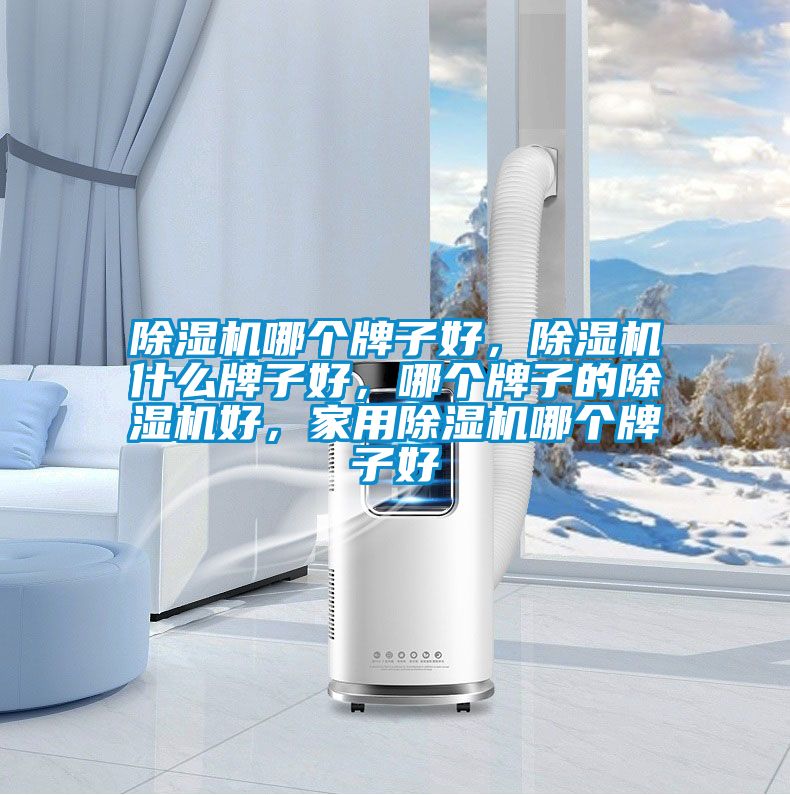 除濕機(jī)哪個牌子好，除濕機(jī)什么牌子好，哪個牌子的除濕機(jī)好，家用除濕機(jī)哪個牌子好