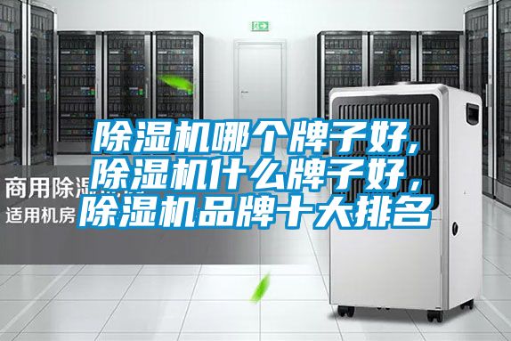 除濕機哪個牌子好,除濕機什么牌子好，除濕機品牌十大排名
