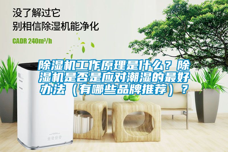 除濕機工作原理是什么？除濕機是否是應(yīng)對潮濕的最好辦法（有哪些品牌推薦）？
