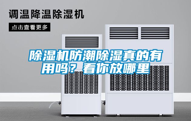 除濕機(jī)防潮除濕真的有用嗎？看你放哪里