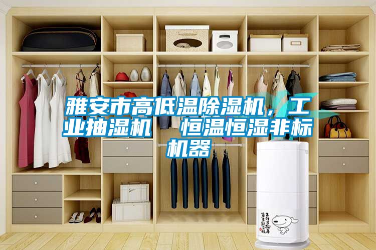 雅安市高低溫除濕機，工業(yè)抽濕機  恒溫恒濕非標機器