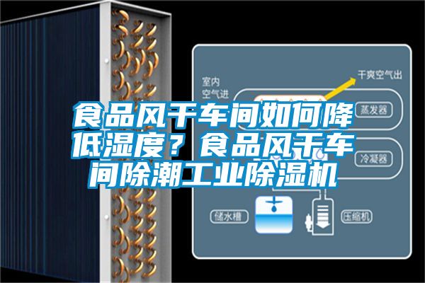 食品風干車間如何降低濕度？食品風干車間除潮工業(yè)除濕機