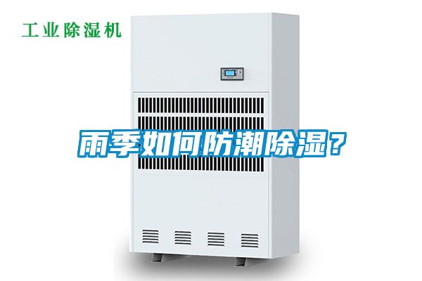 雨季如何防潮除濕？