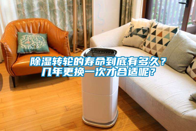 除濕轉(zhuǎn)輪的壽命到底有多久？幾年更換一次才合適呢？