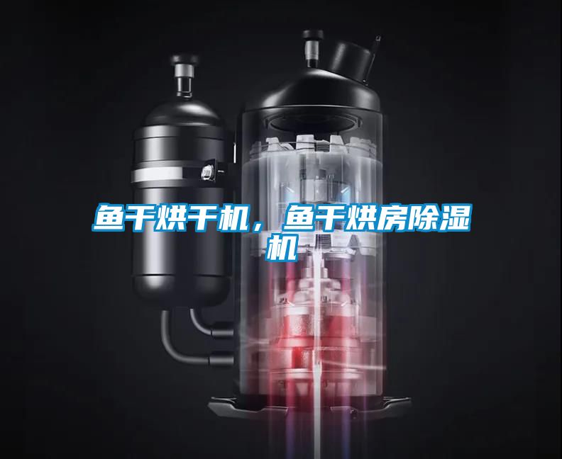 魚干烘干機(jī)，魚干烘房除濕機(jī)
